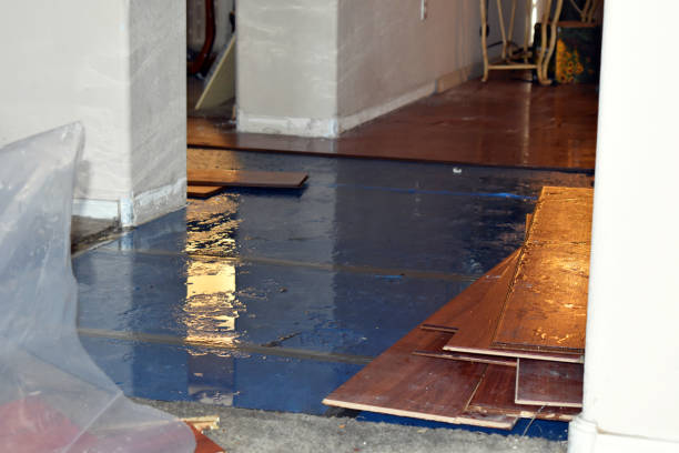 Professional Flood Damage Repair technician working in Fowler, MI